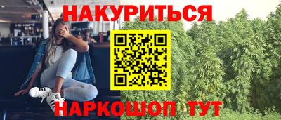 МДПВ Краснодар