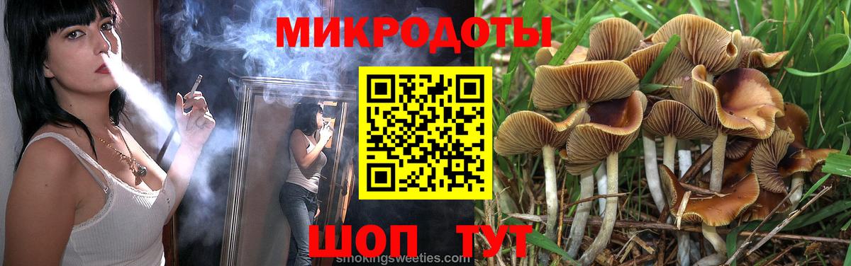 Галлюциногенные грибы GOLDEN TEACHER  Вход с VPN  сколько стоит  Псилоцибиновые грибы мицелий  Кимовск 